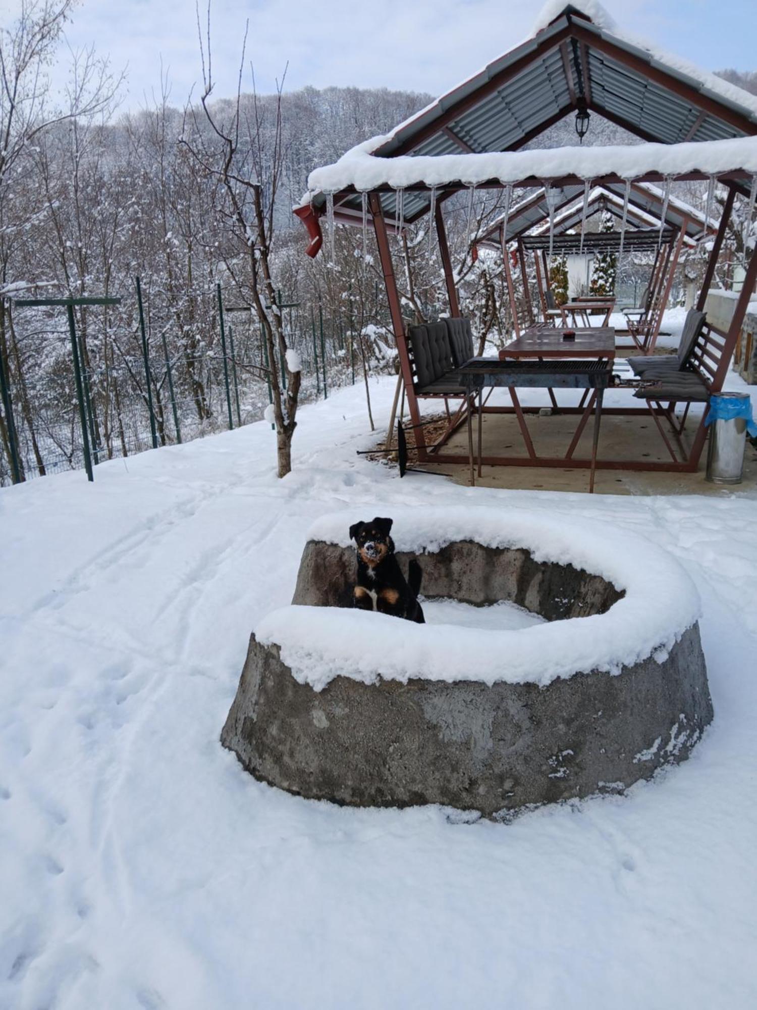 Perla Argesului, Ciubar, Piscina, Lift, Gratar, Cabana, Pensiuni, Hotel Cazare Transfagarasan Curtea De Arges Albestii de Arges Buitenkant foto
